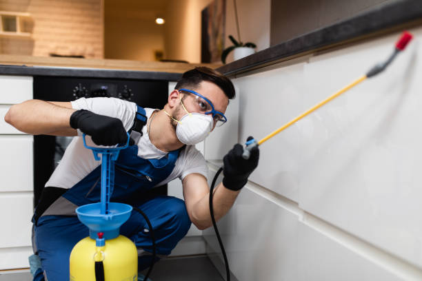 Professional Pest Control in Palmer Heights, PA