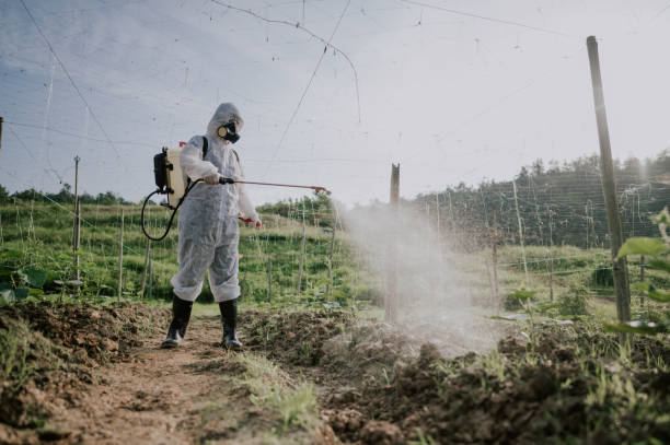 Best Pest Control for Businesses  in Lmer Heights, PA