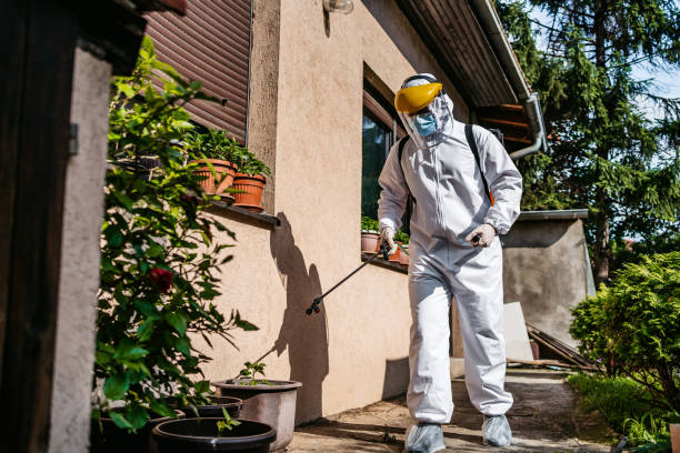 Bird Control in Palmer Heights, PA