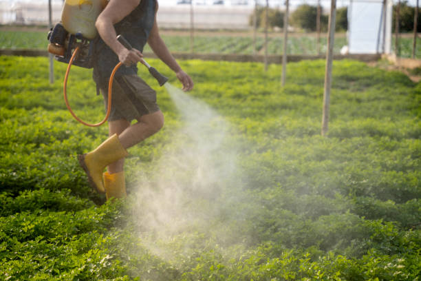 Pest Control Cost in Palmer Heights, PA
