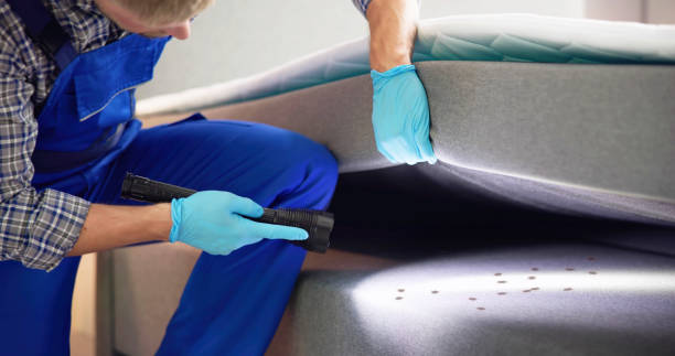 Best Mosquito Control Services  in Lmer Heights, PA