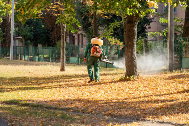 Best Pest Prevention Services  in Lmer Heights, PA