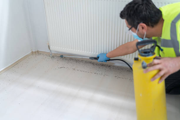 Best Emergency Pest Control  in Lmer Heights, PA