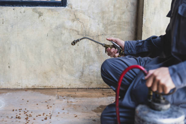 Best Local Pest Control Services  in Lmer Heights, PA